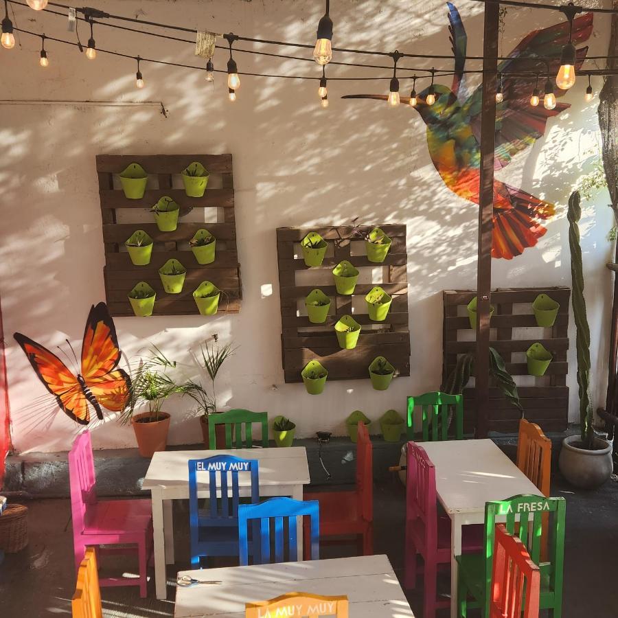 Casa Frida Villa Tulum Exteriör bild